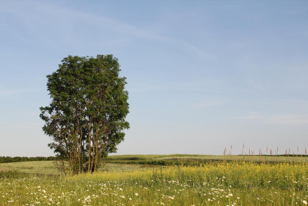 Agroturystyka Nowa Wolka Leczna Экстерьер фото