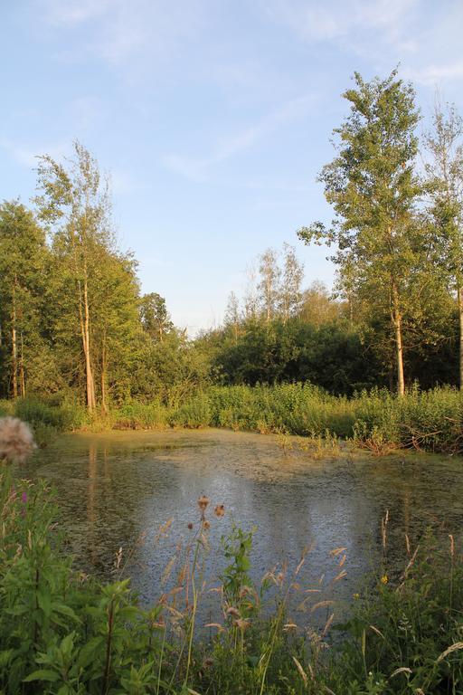 Agroturystyka Nowa Wolka Leczna Экстерьер фото