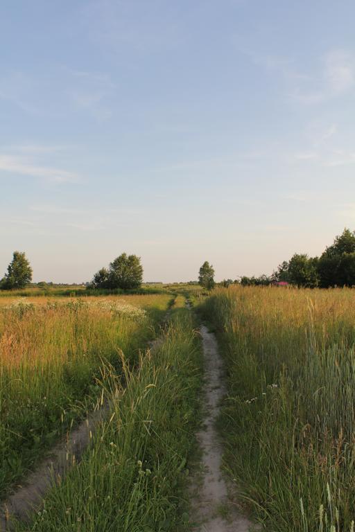 Agroturystyka Nowa Wolka Leczna Экстерьер фото